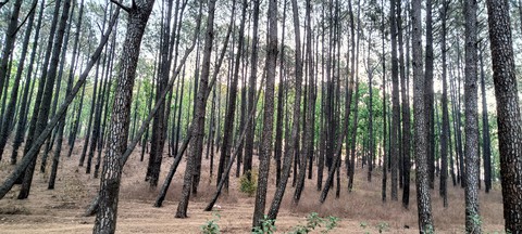 landscapes, landscape वॉलपेपर