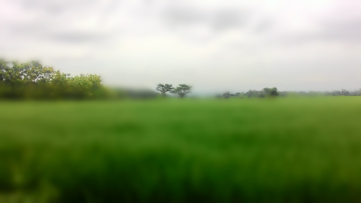 hope