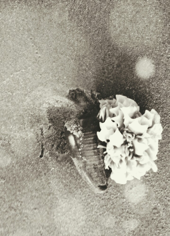 Mystery in the Sand