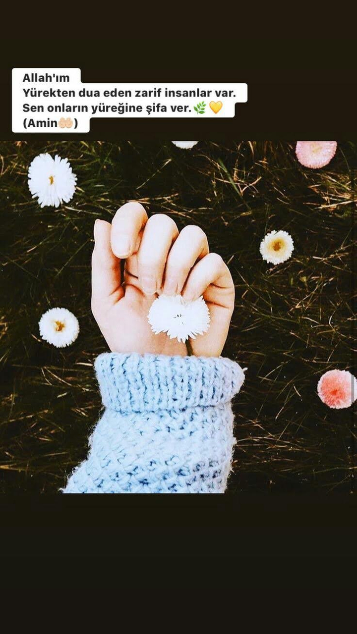 bi dua