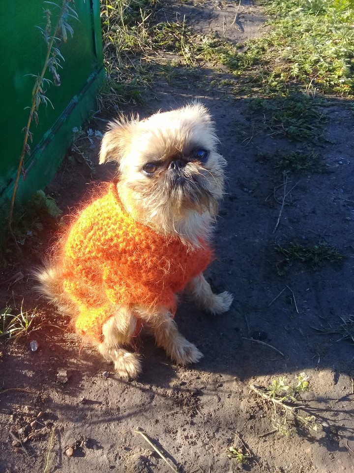 Боня