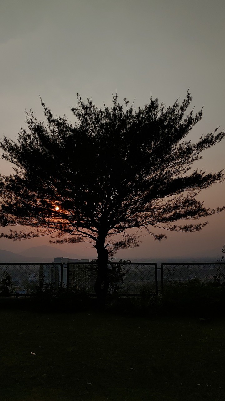 Evening..