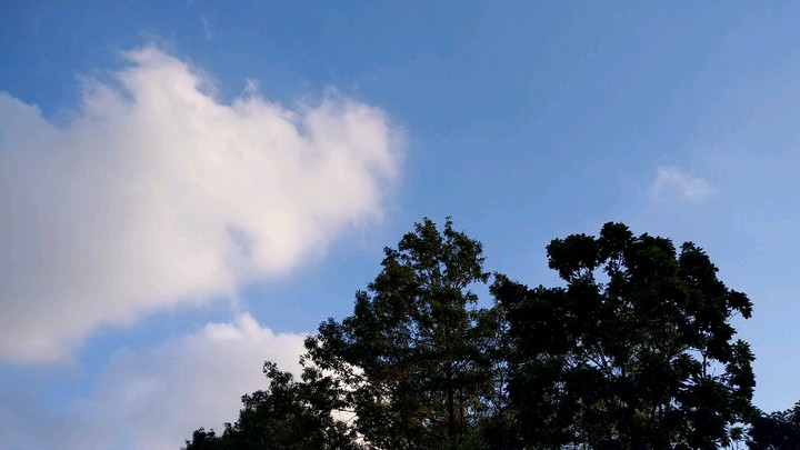 sky and wind