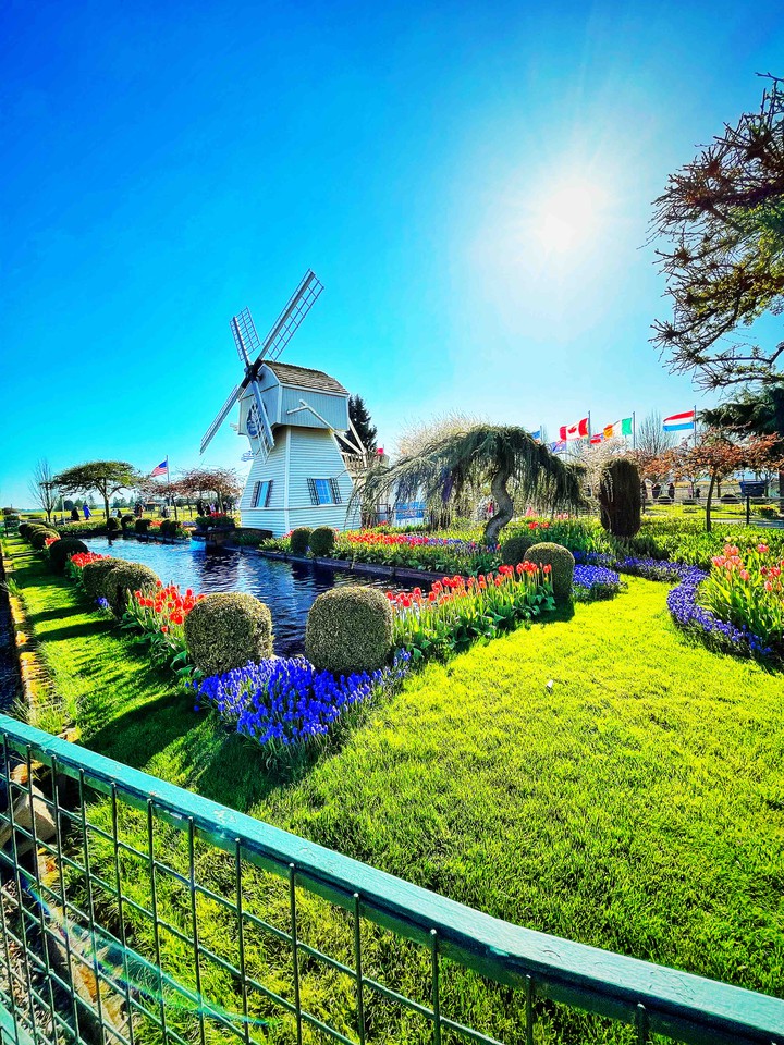 WindMill