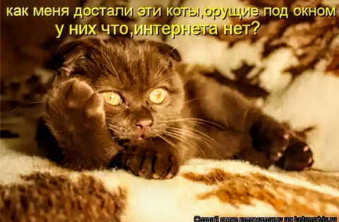 (:)