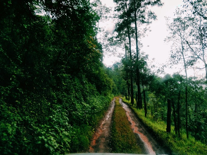 The road not taken