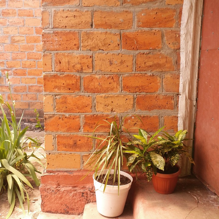 My home