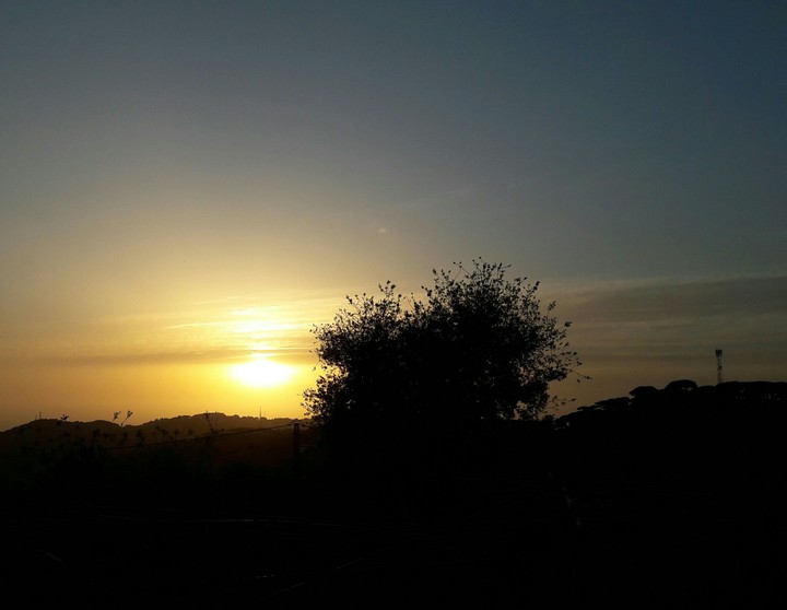 sunset