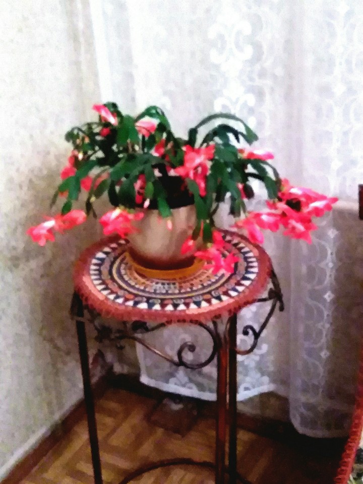 милая цветочная компазиция