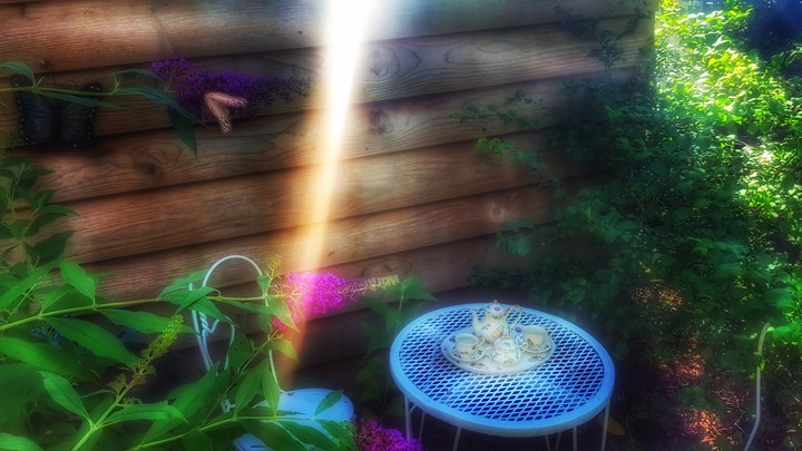 Calm Corner