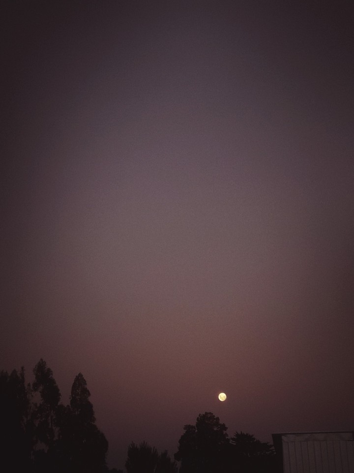 Moon