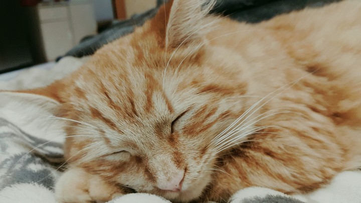 durmiendo