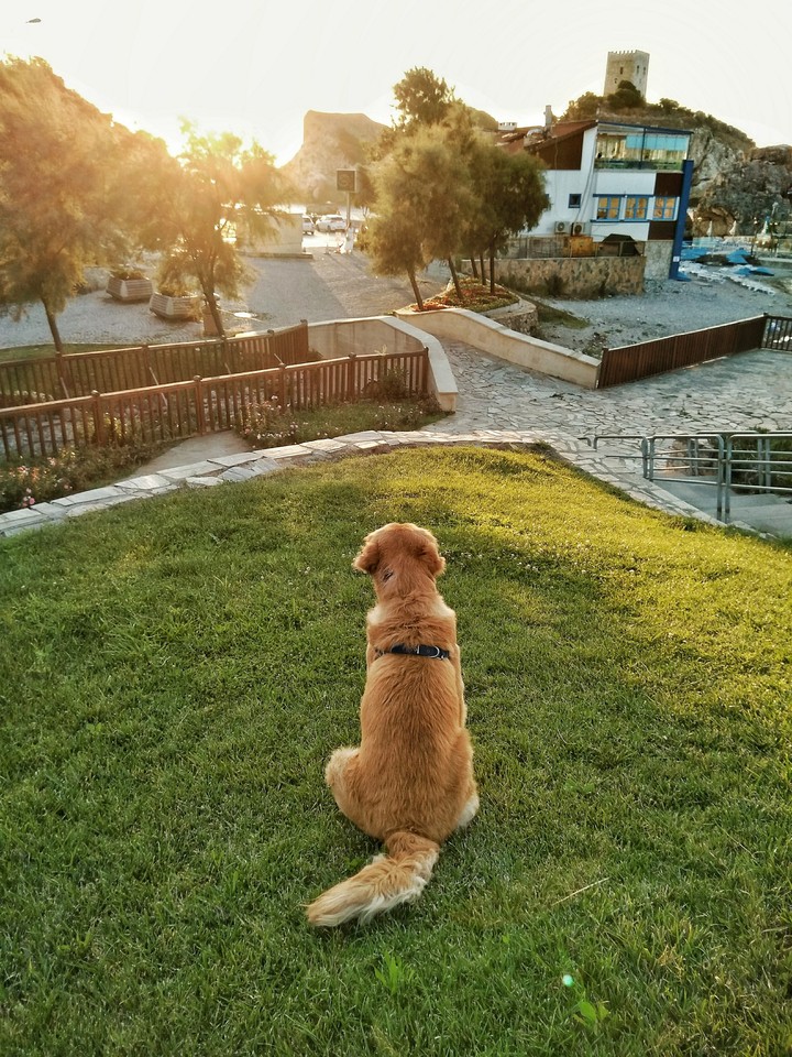 Şarap