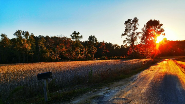 Autumn Sunset