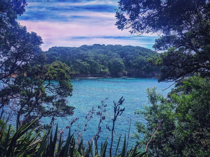 Goat Island, NZ