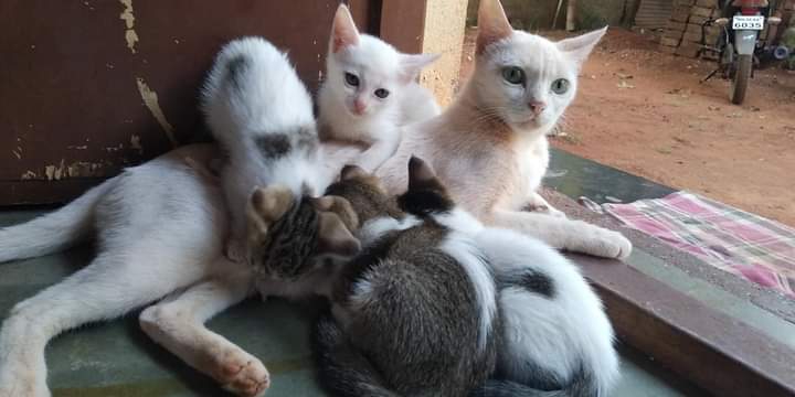Mother's unconditional love !!!