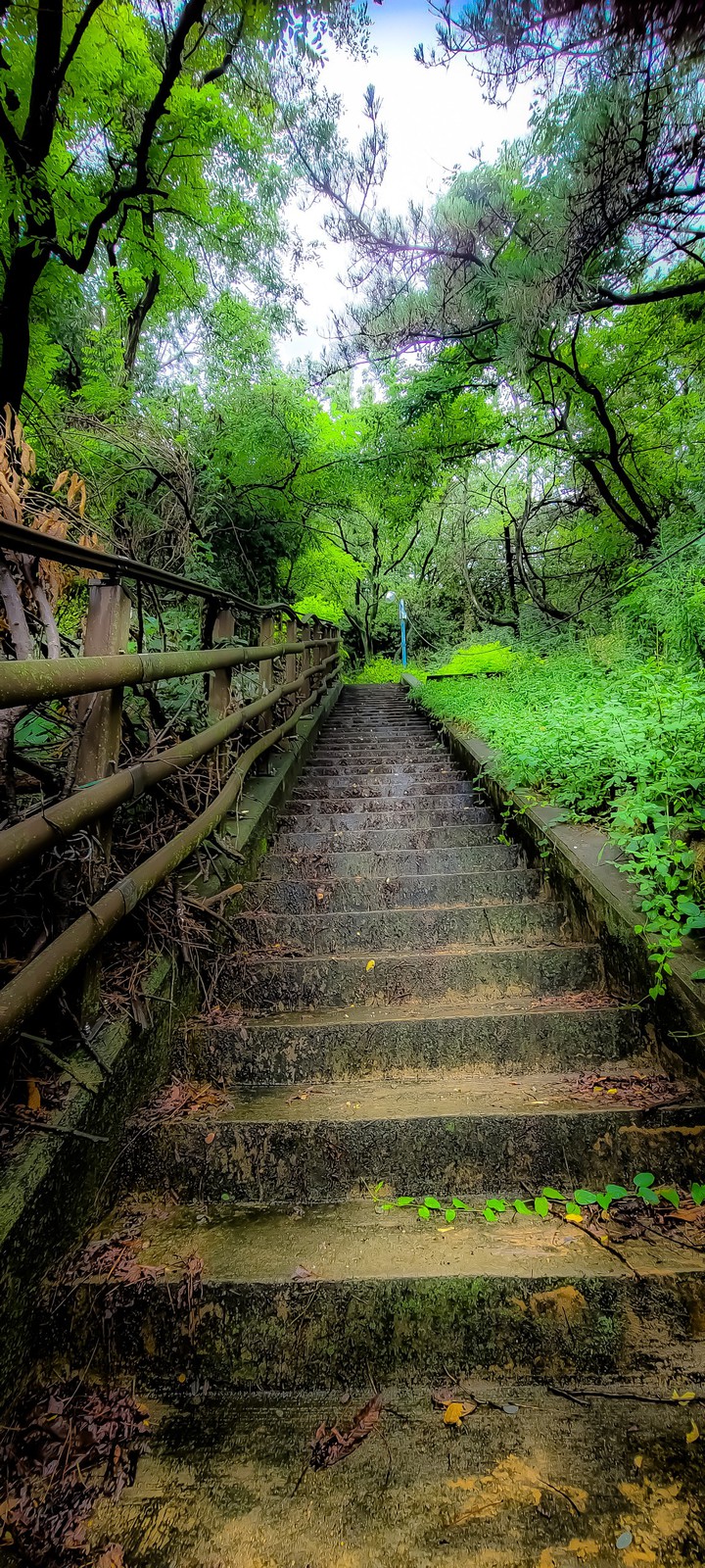 산계단