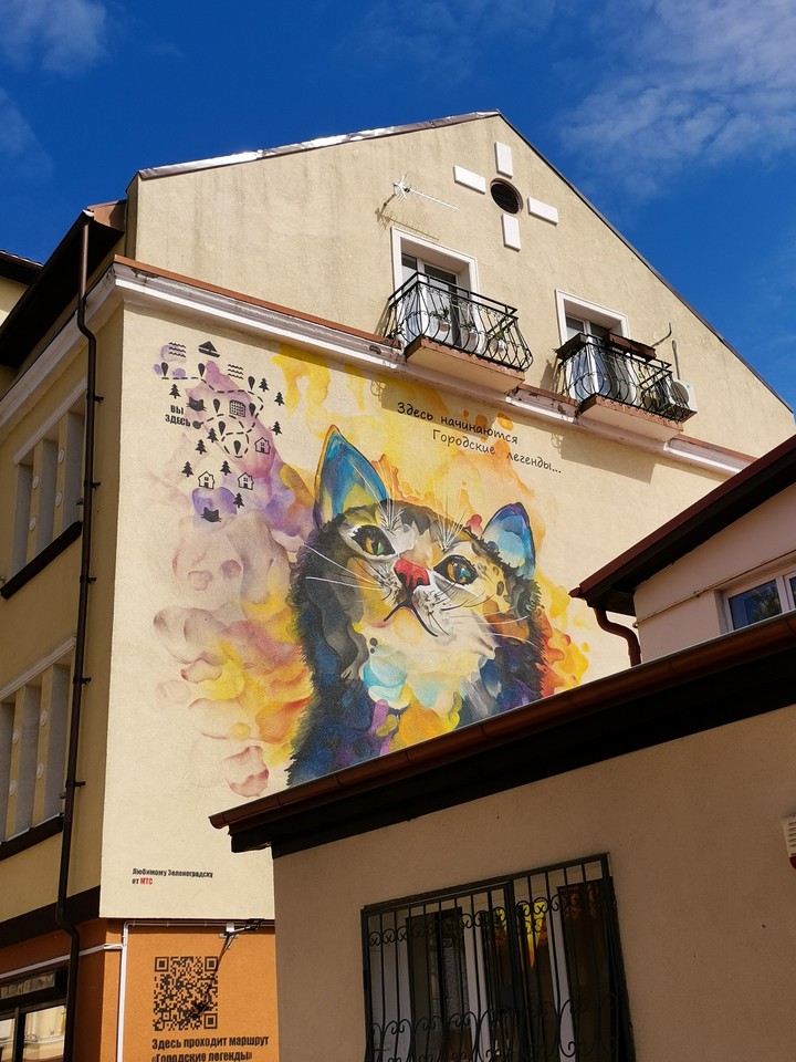 cat