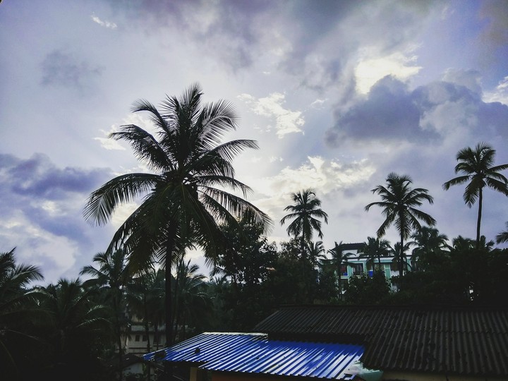 skyview