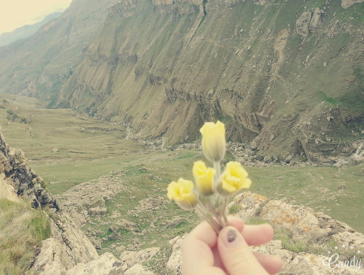 на природе