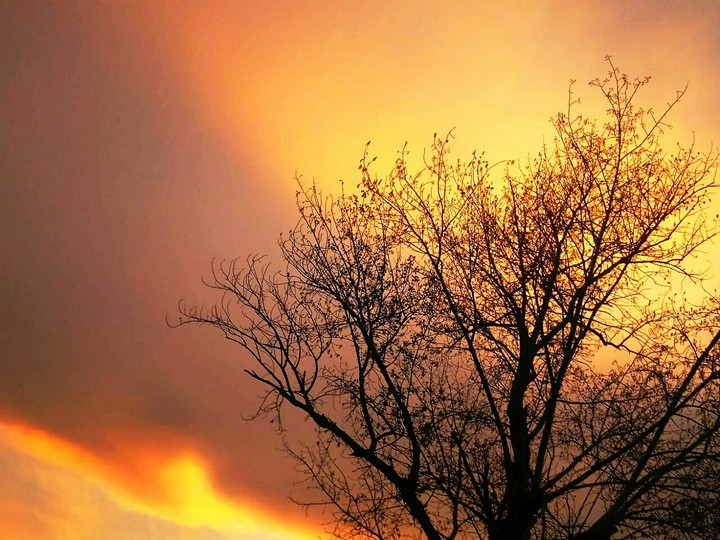 The sun and the sky