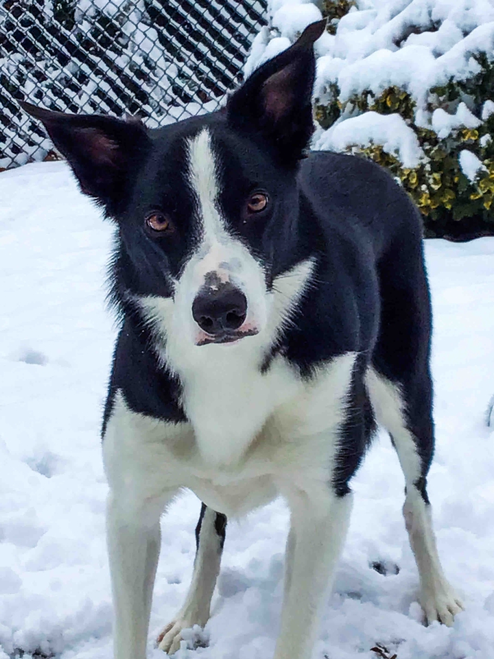 Snow Play