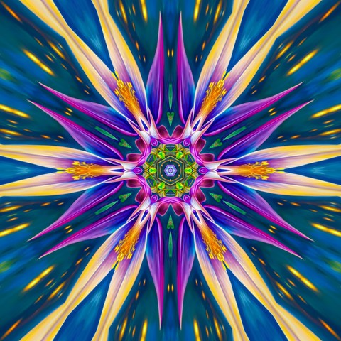 sfondi purple, Art