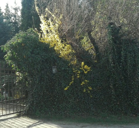 Neighbors :)