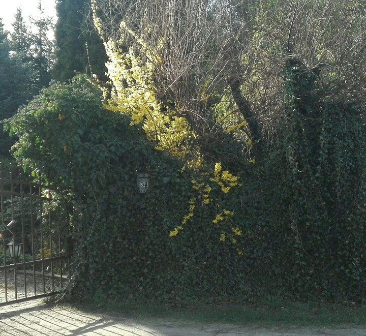 Neighbors :)