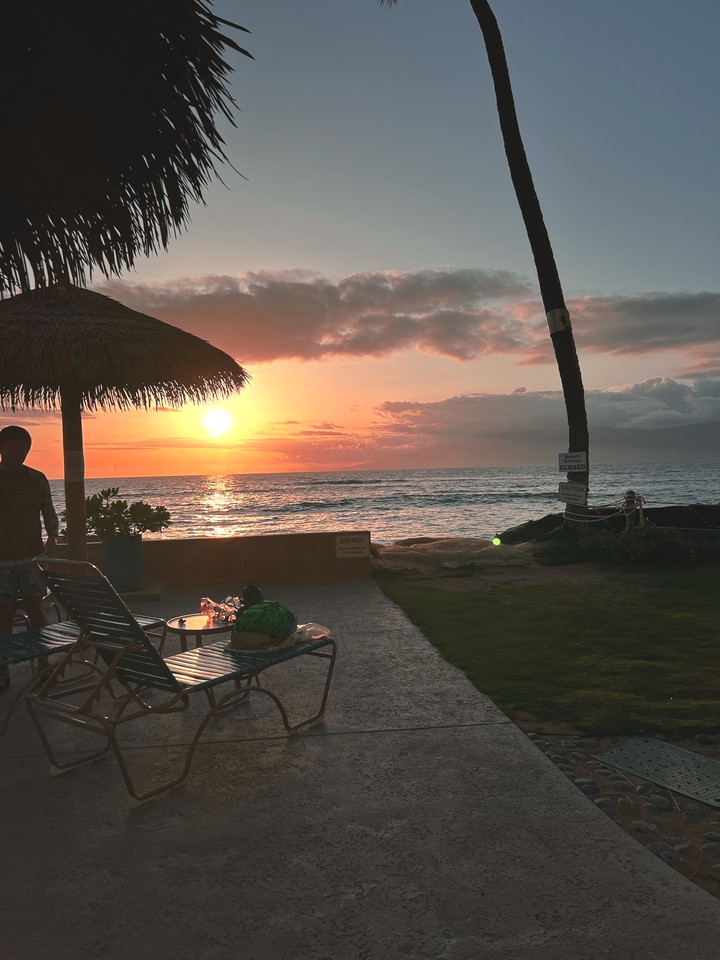Paradise Dreams