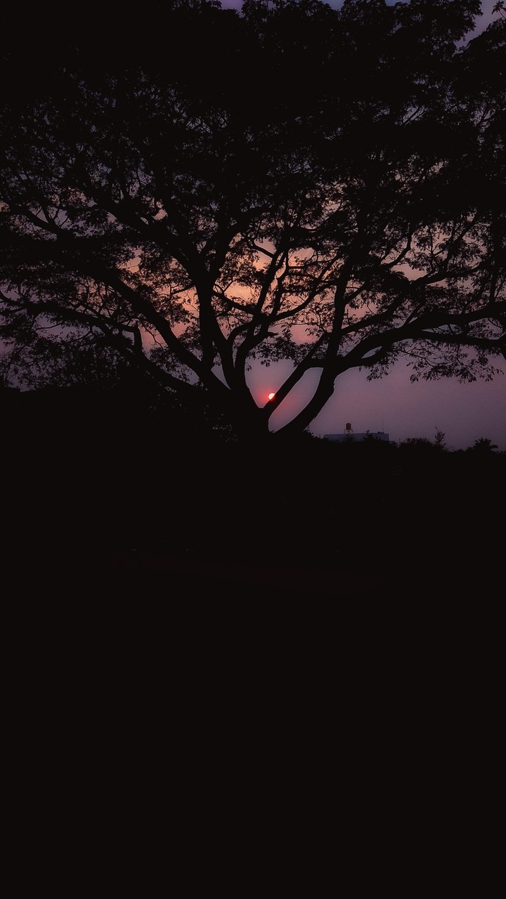 sunsets...