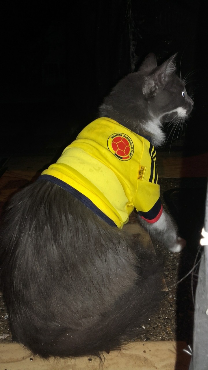 orgulloso de Colombia