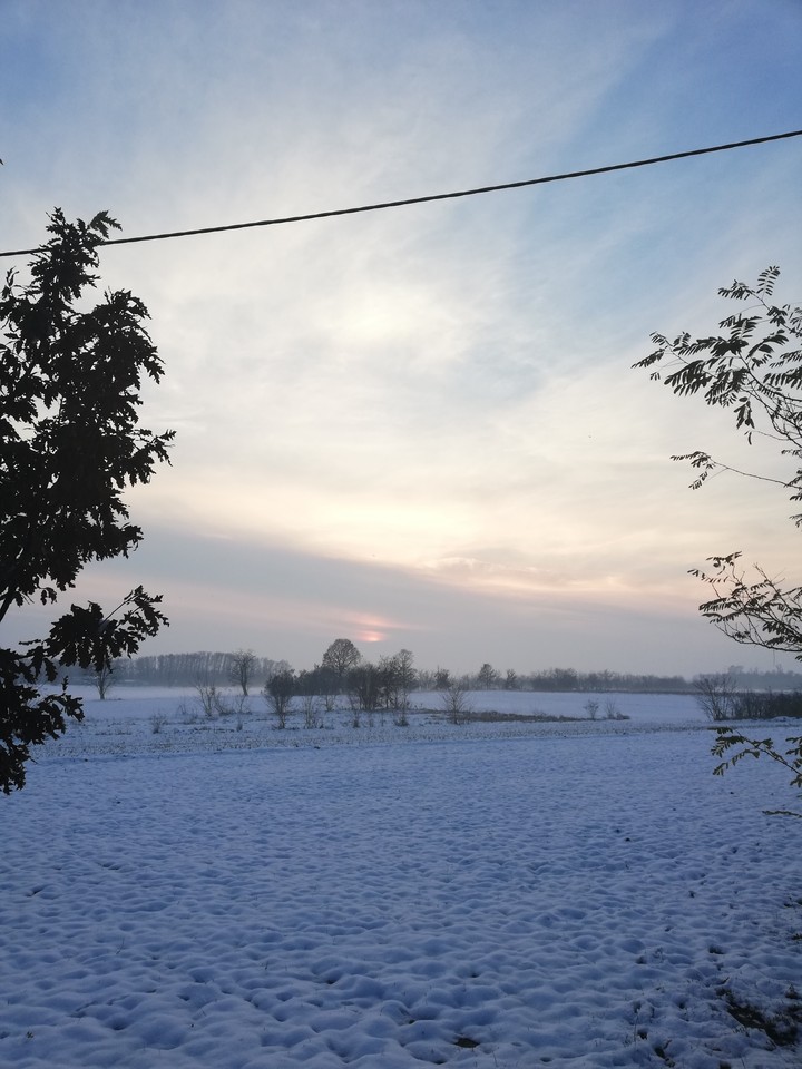 winterr