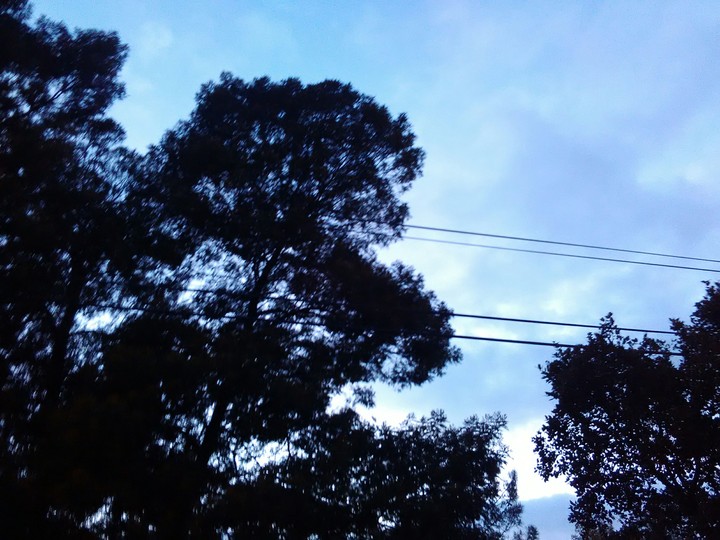Sky