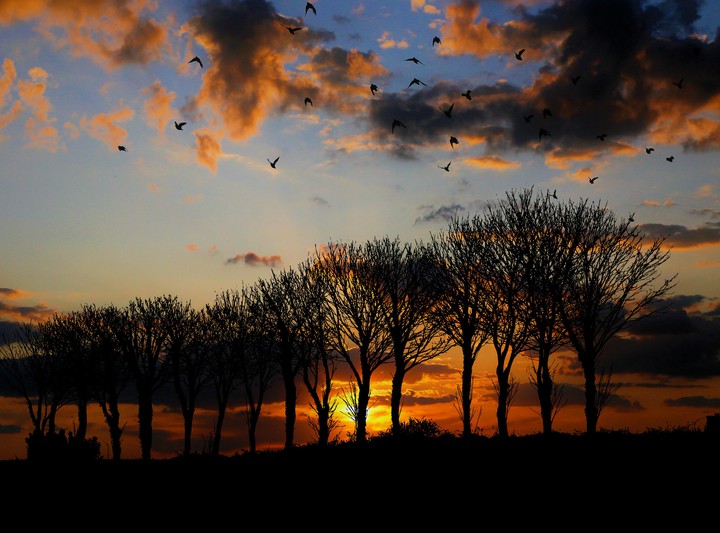 sunset
