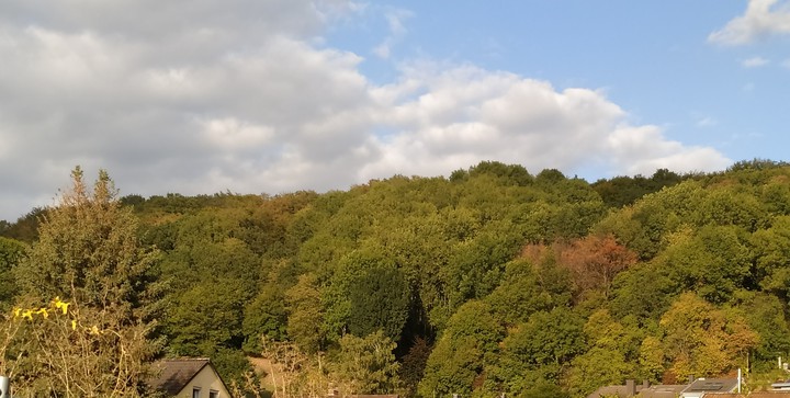 natur