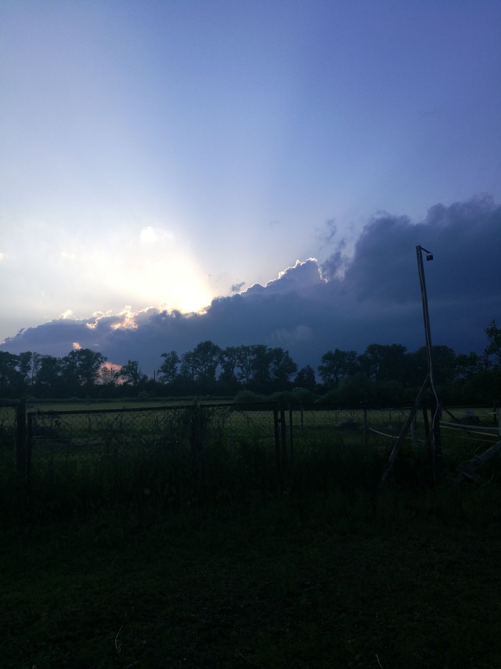 Sky in stable