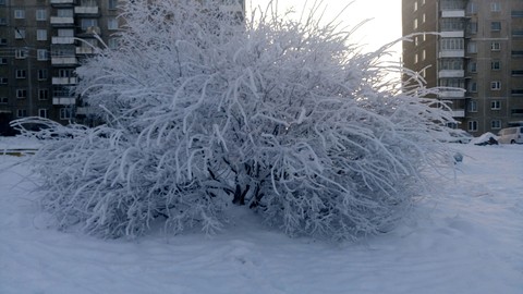 Снег