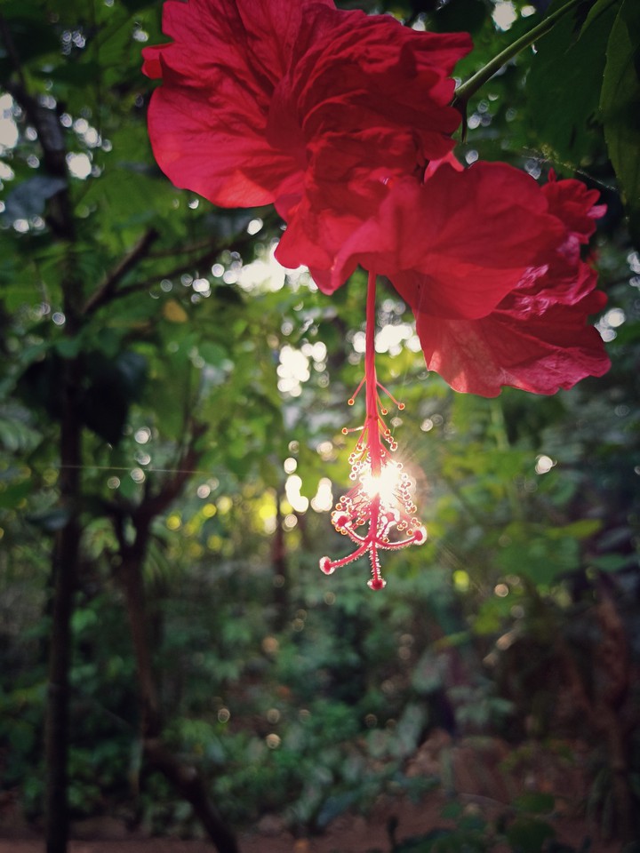 A morning click