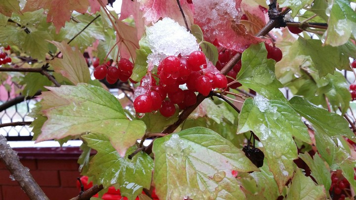 When the autumn as winter