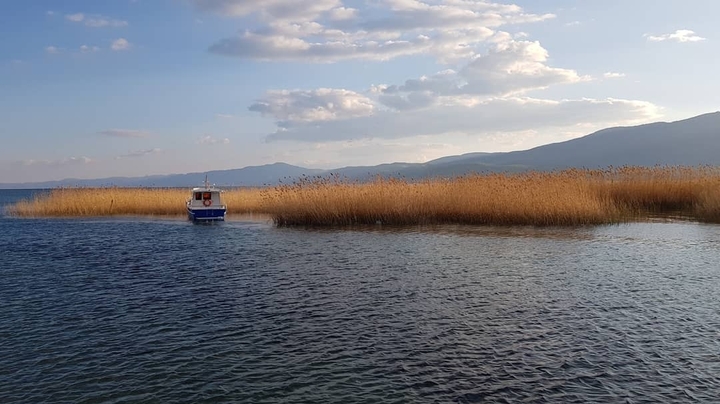 struga lake