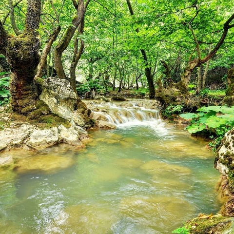 kanyon bursa