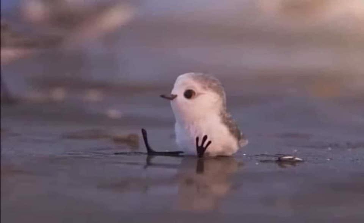 Cute