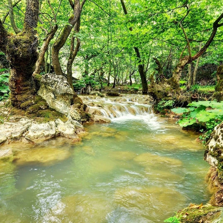 kanyon bursa