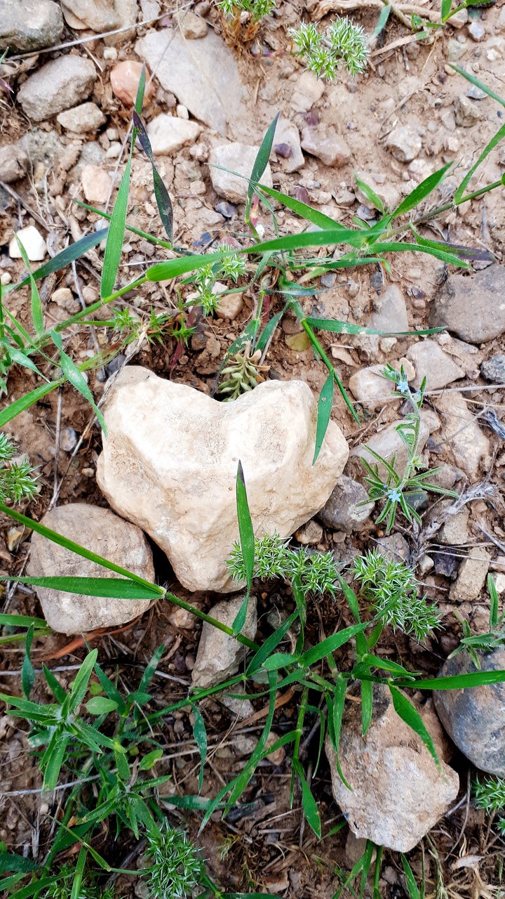 Stone Heart