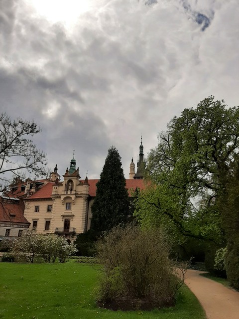 tapety hedge, château