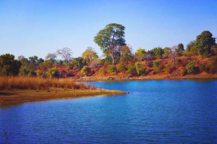 natural landscapic view