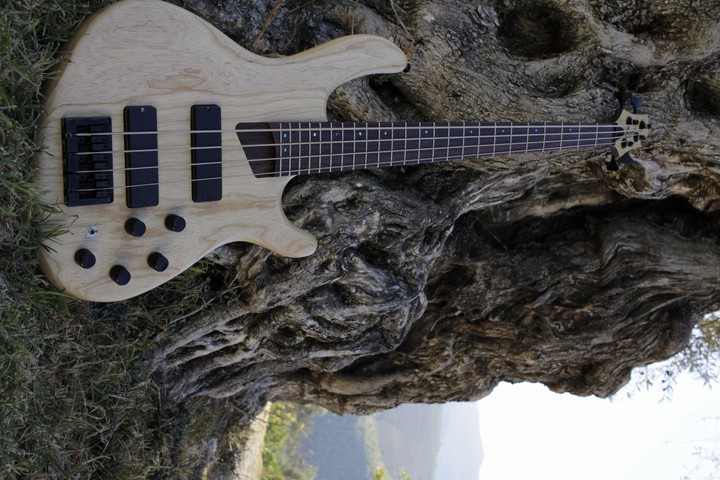 Cort B4 plus