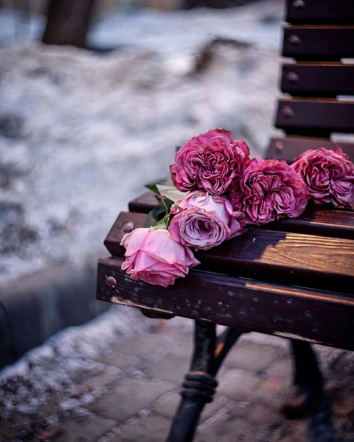 For You, With Love ❤