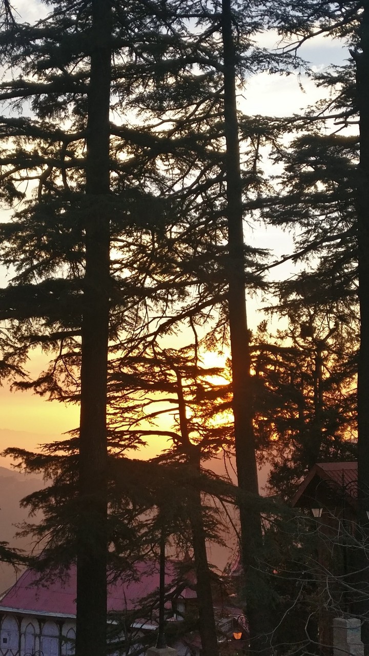 sunsets are proof that every day can end beautifully..